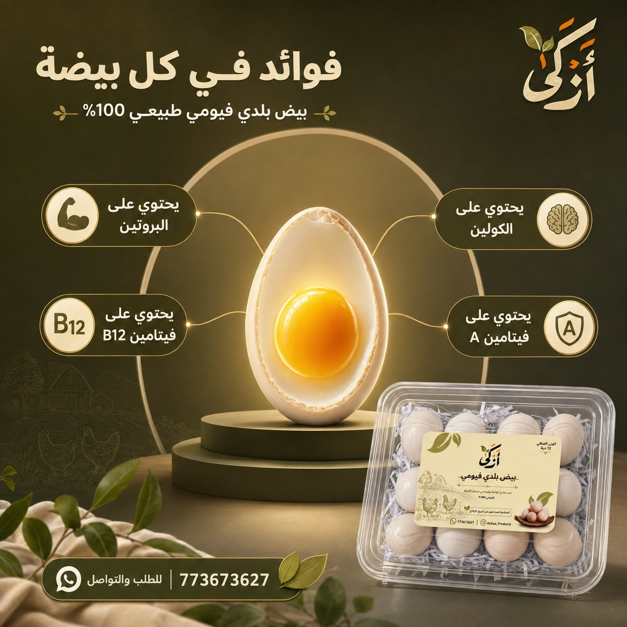 Azkaa Visual Content Campaign