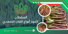 تصميم المطبوعات والمواد التسويقية