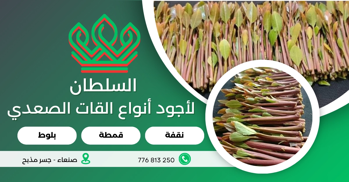 تصميم المطبوعات والمواد التسويقية
